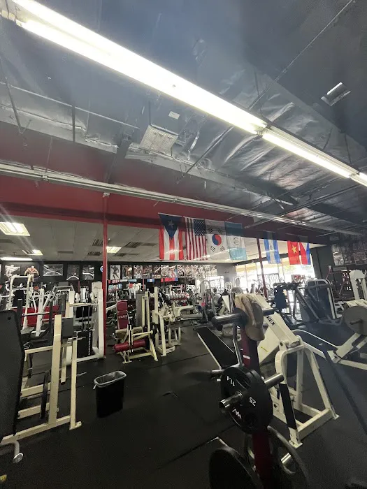 Revival Fitness Picture 5