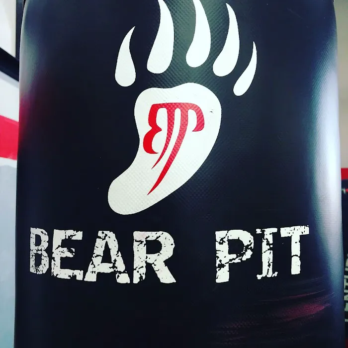 The Bear Pit Picture 4