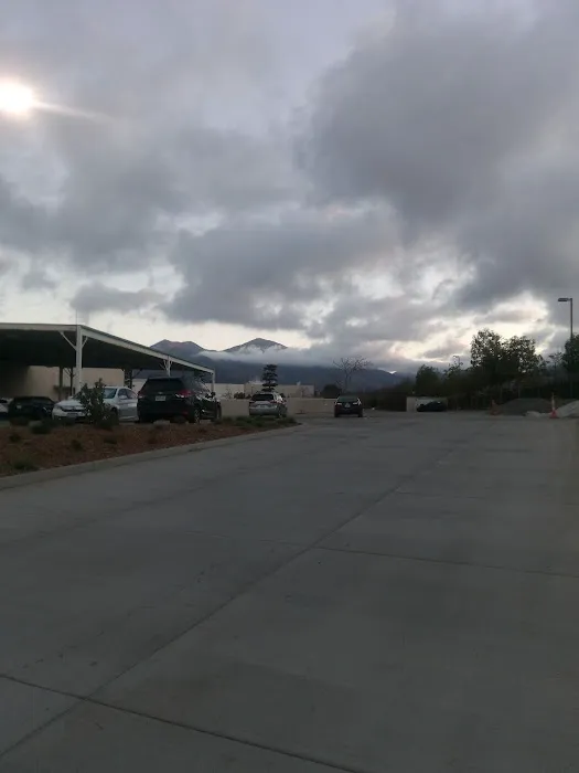 Planet Fitness Picture 8