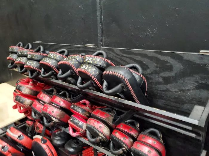 OC Muay Thai Picture 3