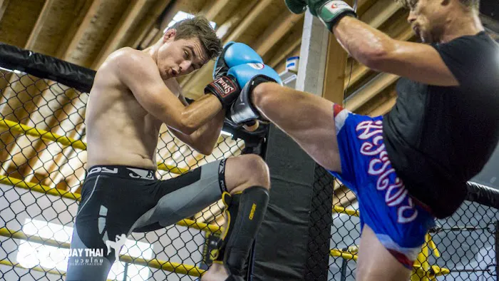 OC Muay Thai Picture 5