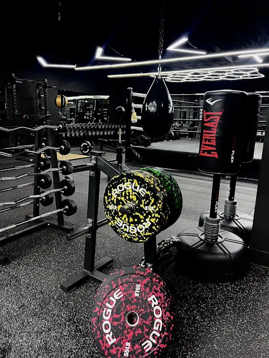 THESEVEN Personal training Picture 7