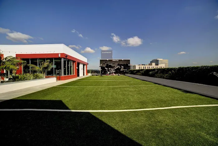 Proactive Sports at The Marke Picture 4