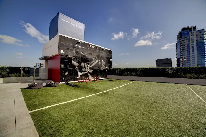 Proactive Sports at The Marke Picture 6