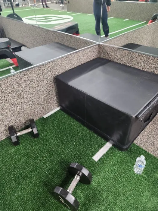 Fitness 19 Picture 8