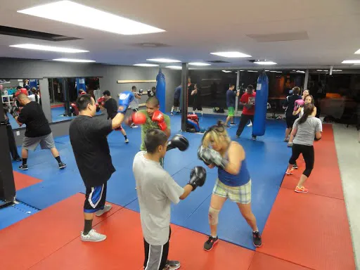 OC Boxing & Fitness Picture 5