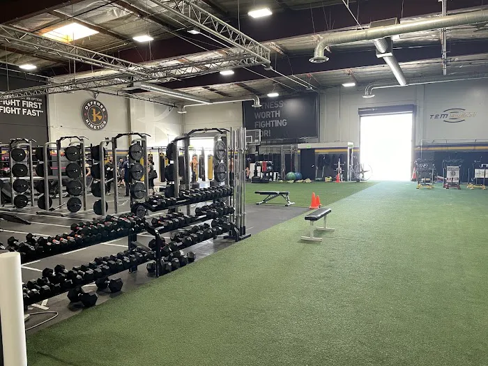 FitSport Kinetics Picture 5