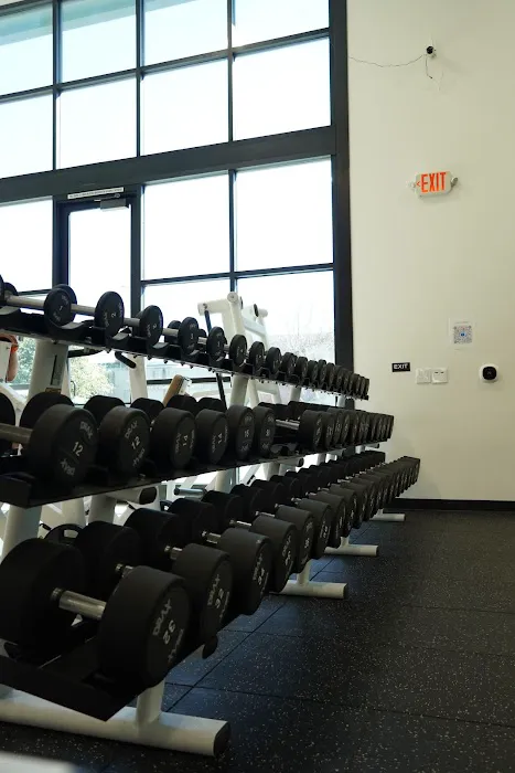 Kallus Private Fitness Picture 1