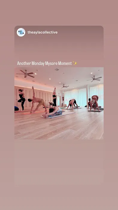 AYLA Collective (Ashtanga Mysore Program) Picture 3