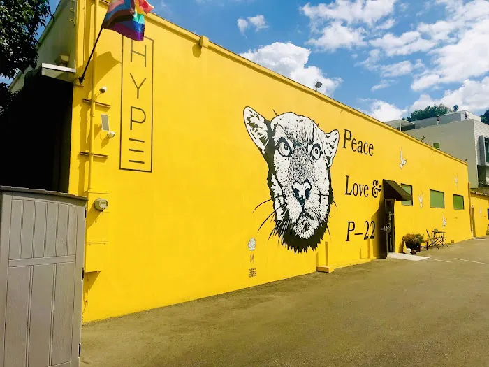 Hype Fitness Picture 4