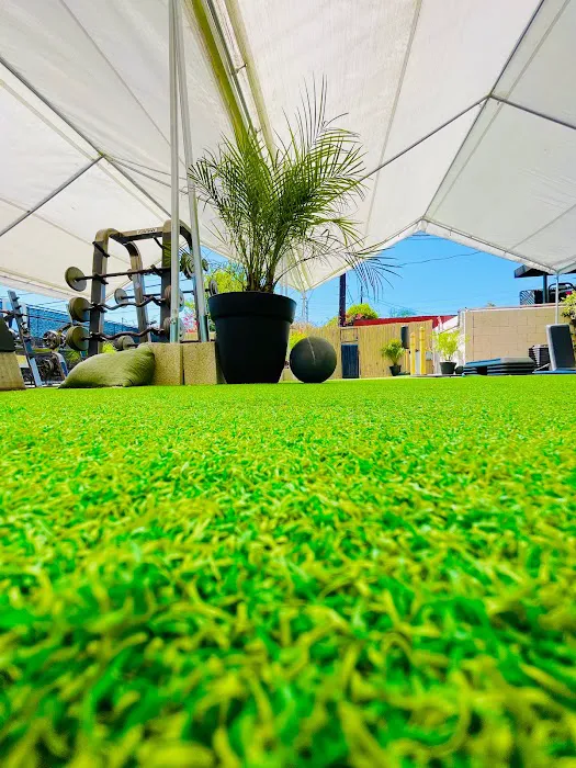 LM Fitness Center Picture 10