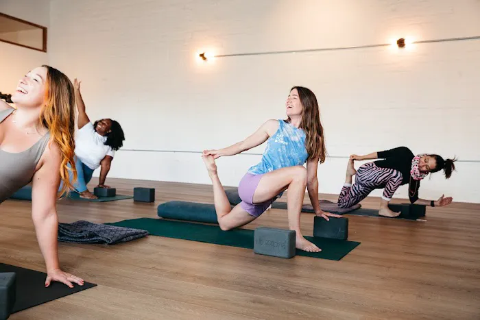 One Down Dog Picture 3