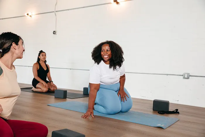 One Down Dog Picture 5