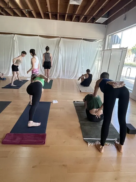 Ashtanga Yoga Glassell Picture 3