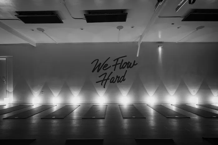 Y7 Studio Silver Lake Picture 1