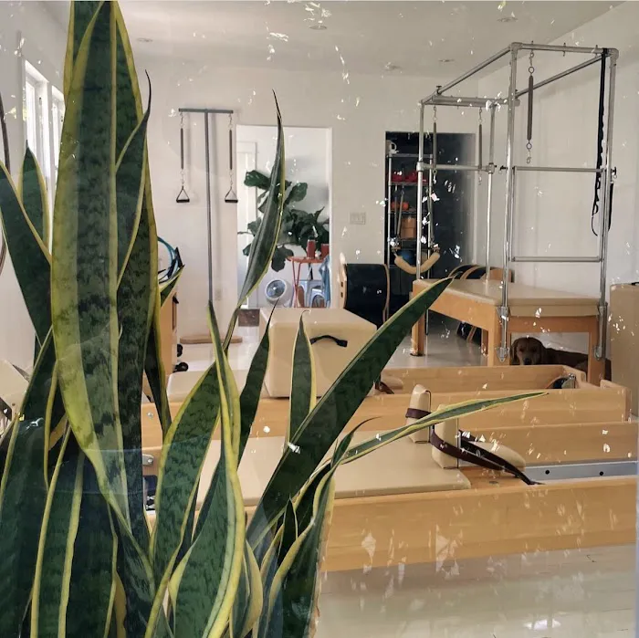 The Work Pilates Studio Picture 9