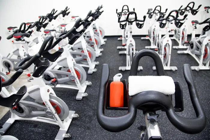 Studio Metamorphosis Picture 1