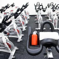 Studio Metamorphosis ico