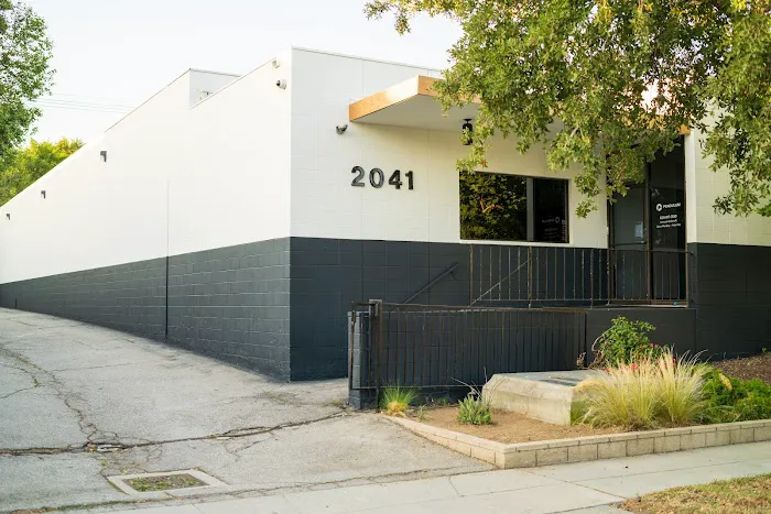 Pendulum Fitness Picture 5