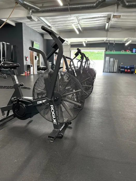 Pendulum Fitness Picture 7