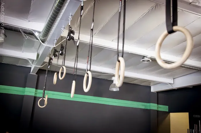 Pendulum Fitness Picture 10