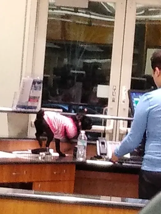 LA Fitness Picture 10