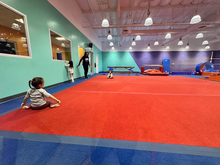 The Little Gym of Monrovia, CA Picture 1