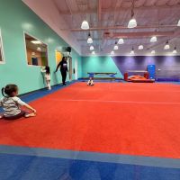 The Little Gym of Monrovia, CA ico