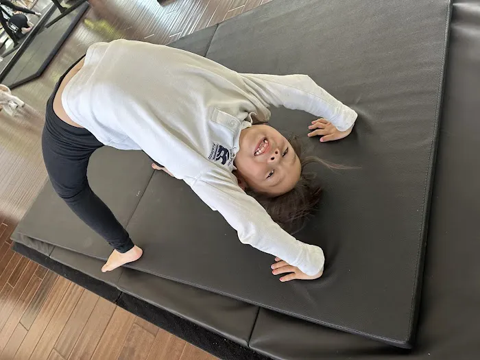 Dancing Kitty Yoga Studio Picture 3