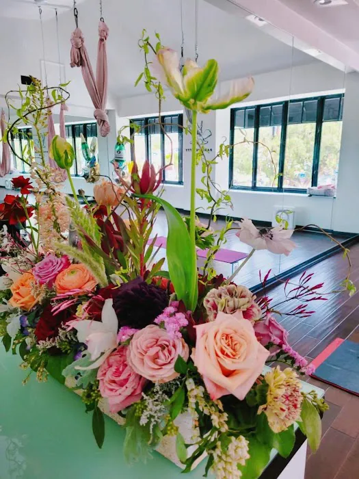 Dancing Kitty Yoga Studio Picture 8