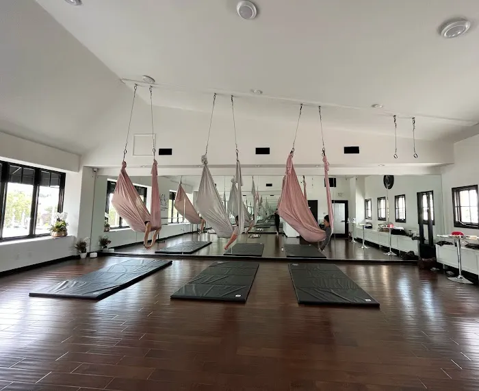 Dancing Kitty Yoga Studio Picture 6