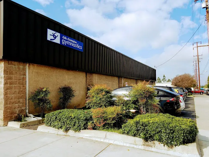 Club Champion Gymnastics Picture 2