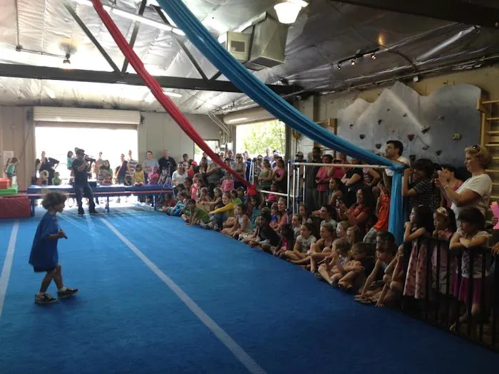 Club Champion Gymnastics Picture 9