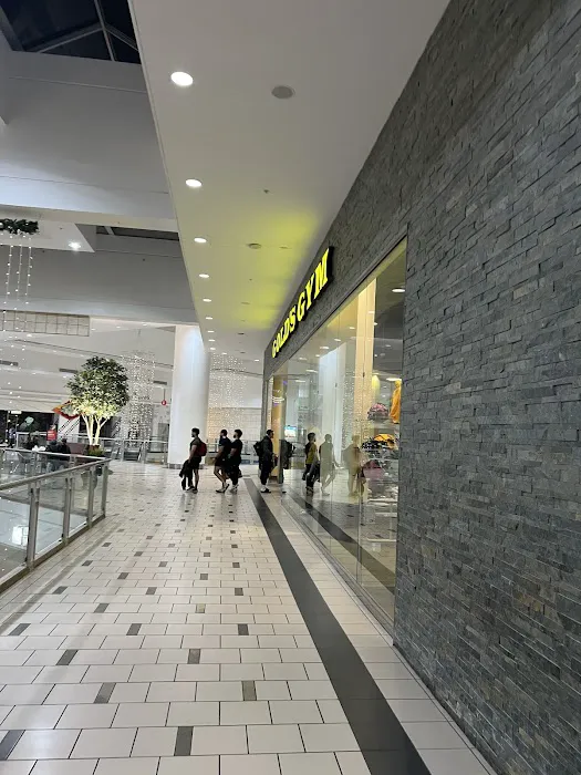 Gold's Gym West Covina Picture 6