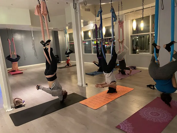 Violet Yoga Fitness Picture 4