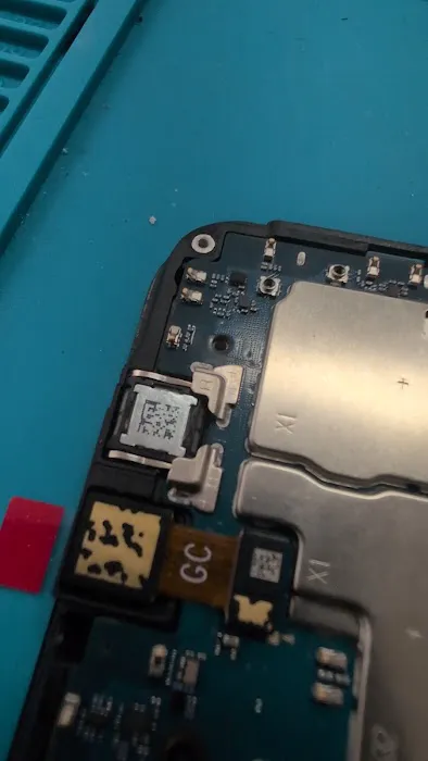 Tanis Zumba Picture 1