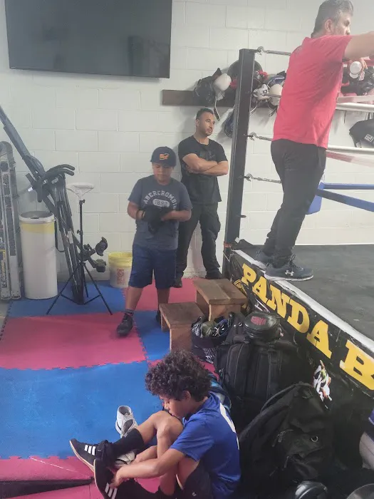 Panda Boxing Gym Picture 7