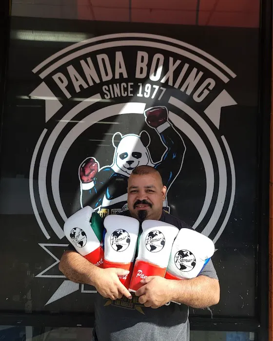 Panda Boxing Gym Picture 6