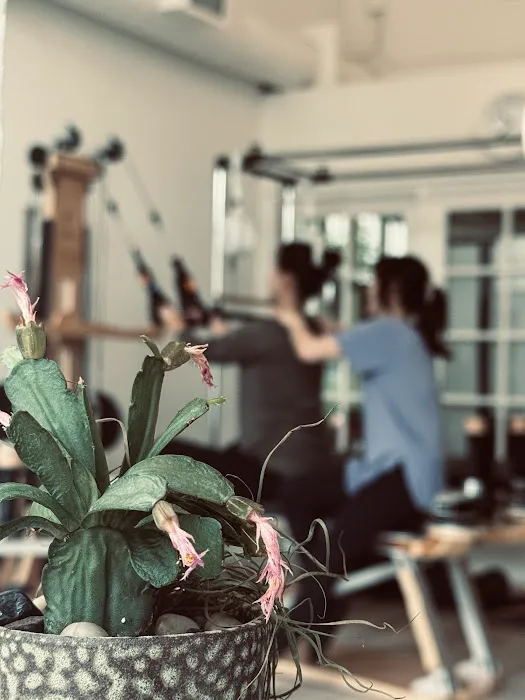 Let's Pilates Picture 8