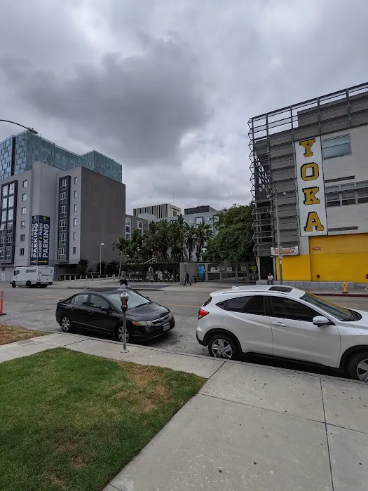 Hot 8 Yoga Picture 8