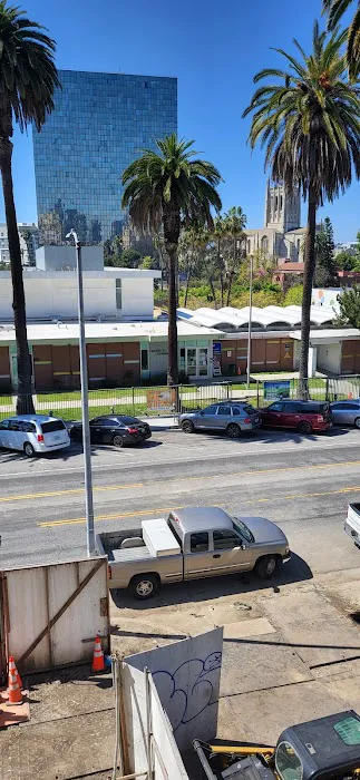 California Academy-Gymnastics Picture 1