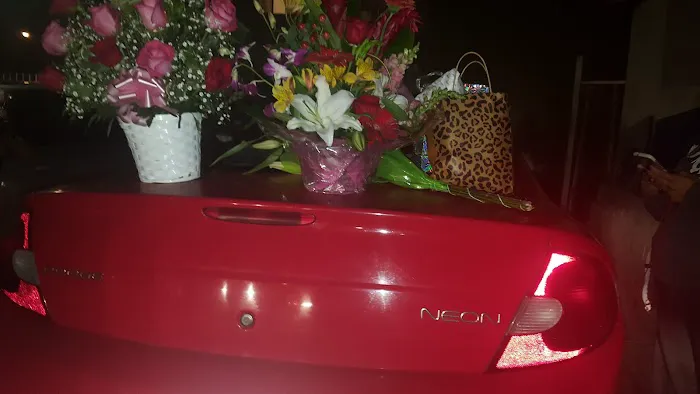 Shake Me Up Picture 2