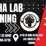 Alpha Lab Training
