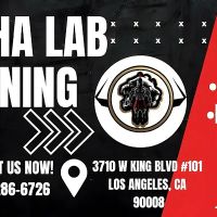 Alpha Lab Training ico