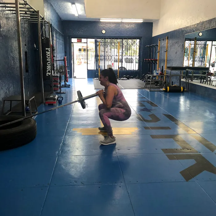 Blue Star Fitness Picture 7