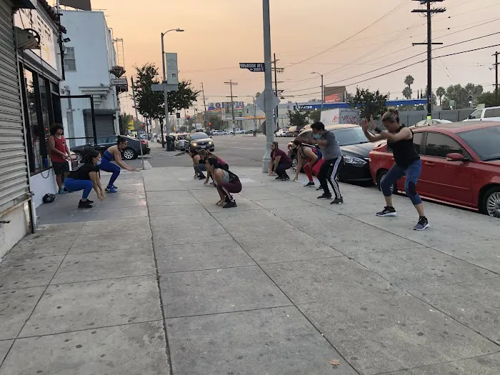 Blue Star Fitness Picture 9