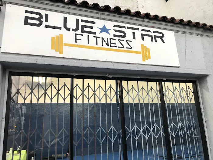 Blue Star Fitness Picture 8