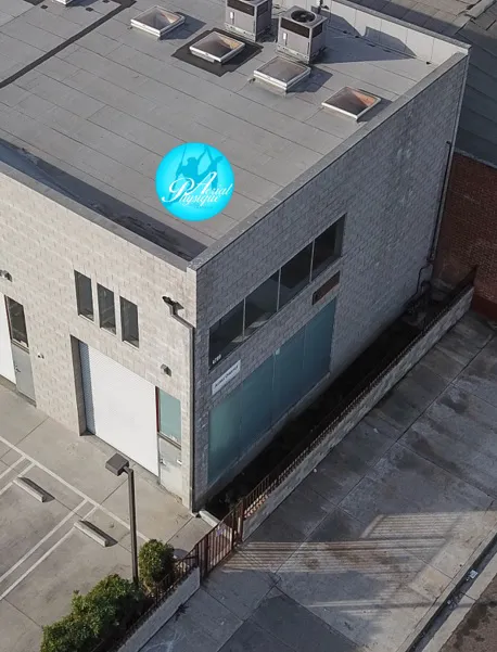 Aerial Physique Picture 5