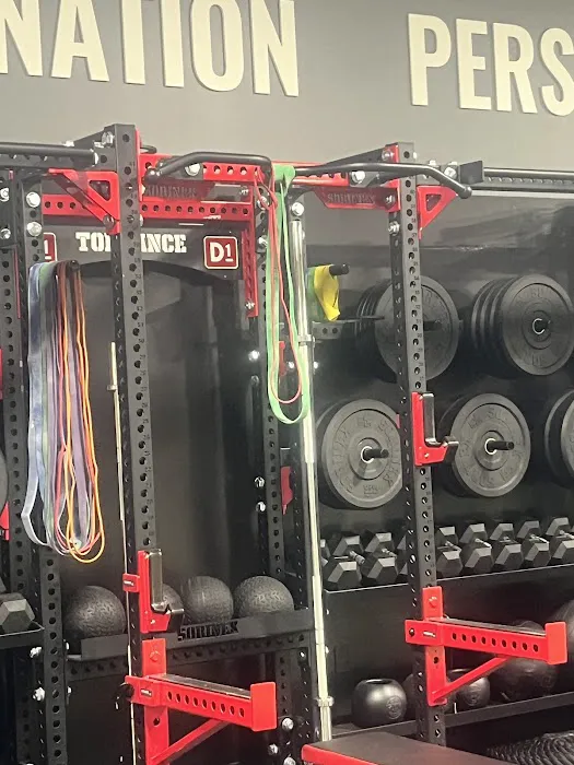 D1 Training Torrance Picture 7