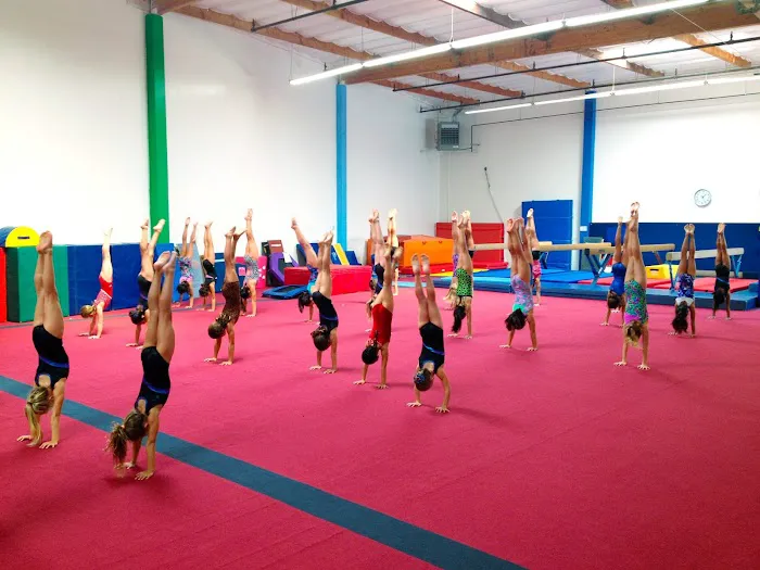 Fit Kids Gymnastics Center Picture 4